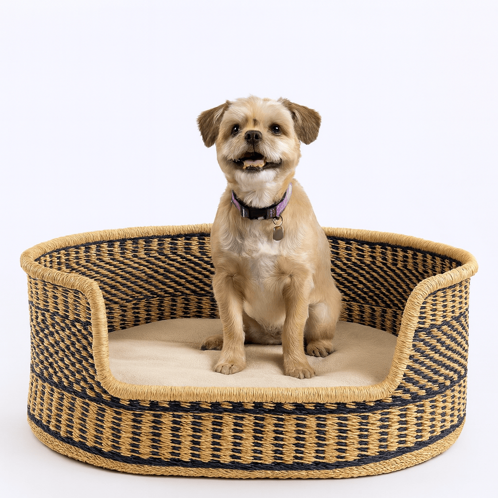 Elevate Your Pet’s Sleep: The Rise of the African Dog Bassinet 2026