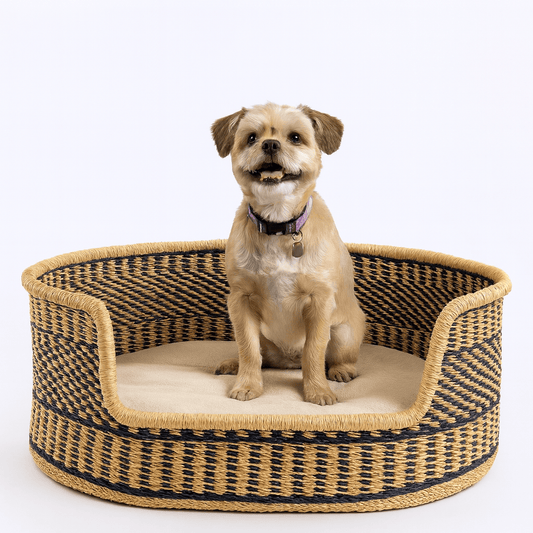 Elevate Your Pet’s Sleep: The Rise of the African Dog Bassinet 2026